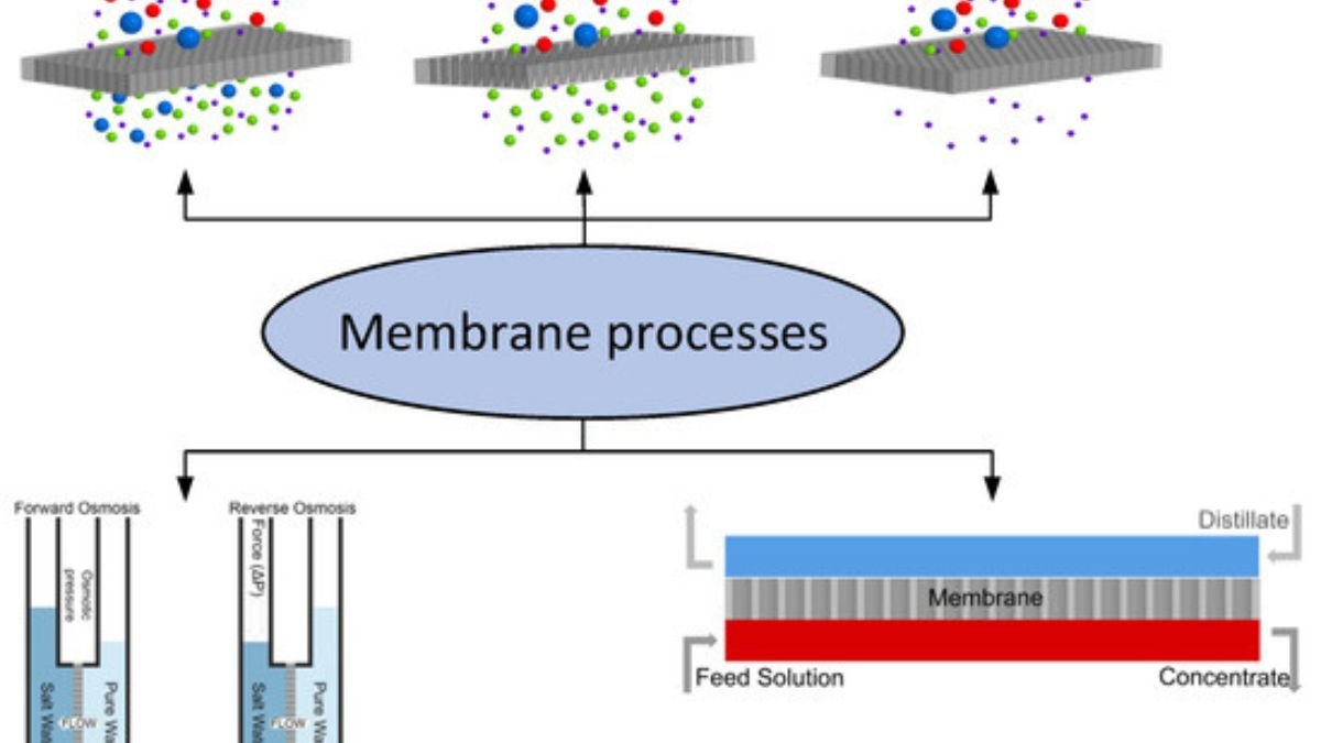 From Self-Assembly to Smart Membranes: Materials Innovation in Water Purification
