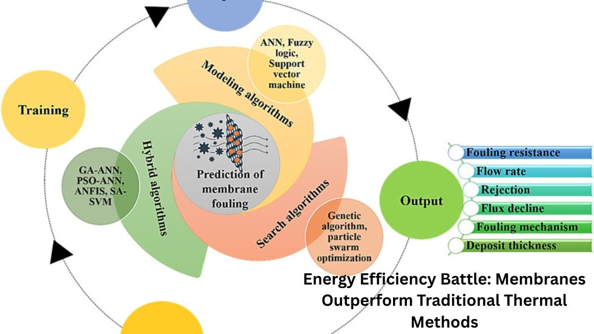 Energy Efficiency Battle: Membranes Outperform Traditional Thermal Methods