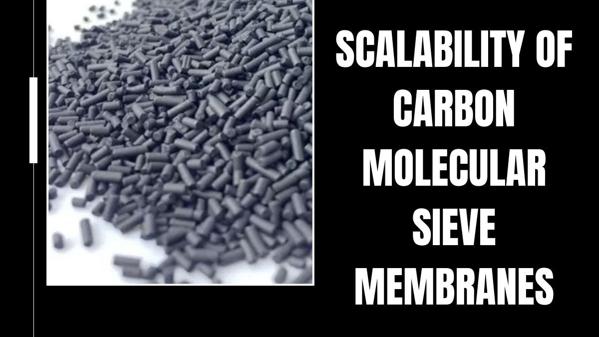 Exploring the Scalability of Carbon Molecular Sieve Membranes