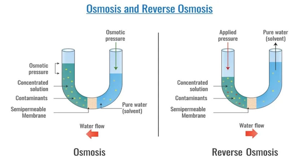 How Reverse Osmosis Works: The Membrane Science Behind Clean Water