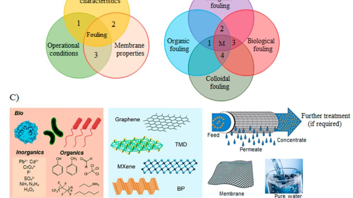 Membrane Fouling Explained: Causes, Consequences, and Cutting-Edge Solutions