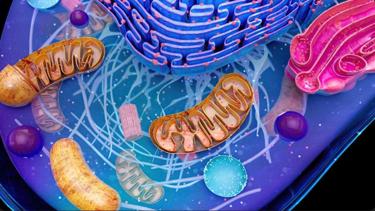 The Science of Pore Engineering: Tuning Membrane Selectivity